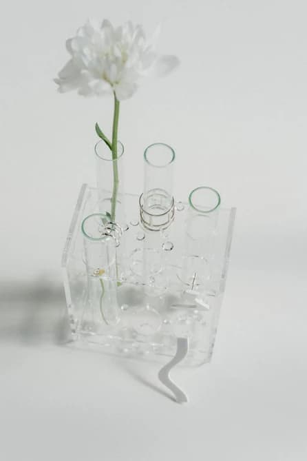 The Science Behind Our Products