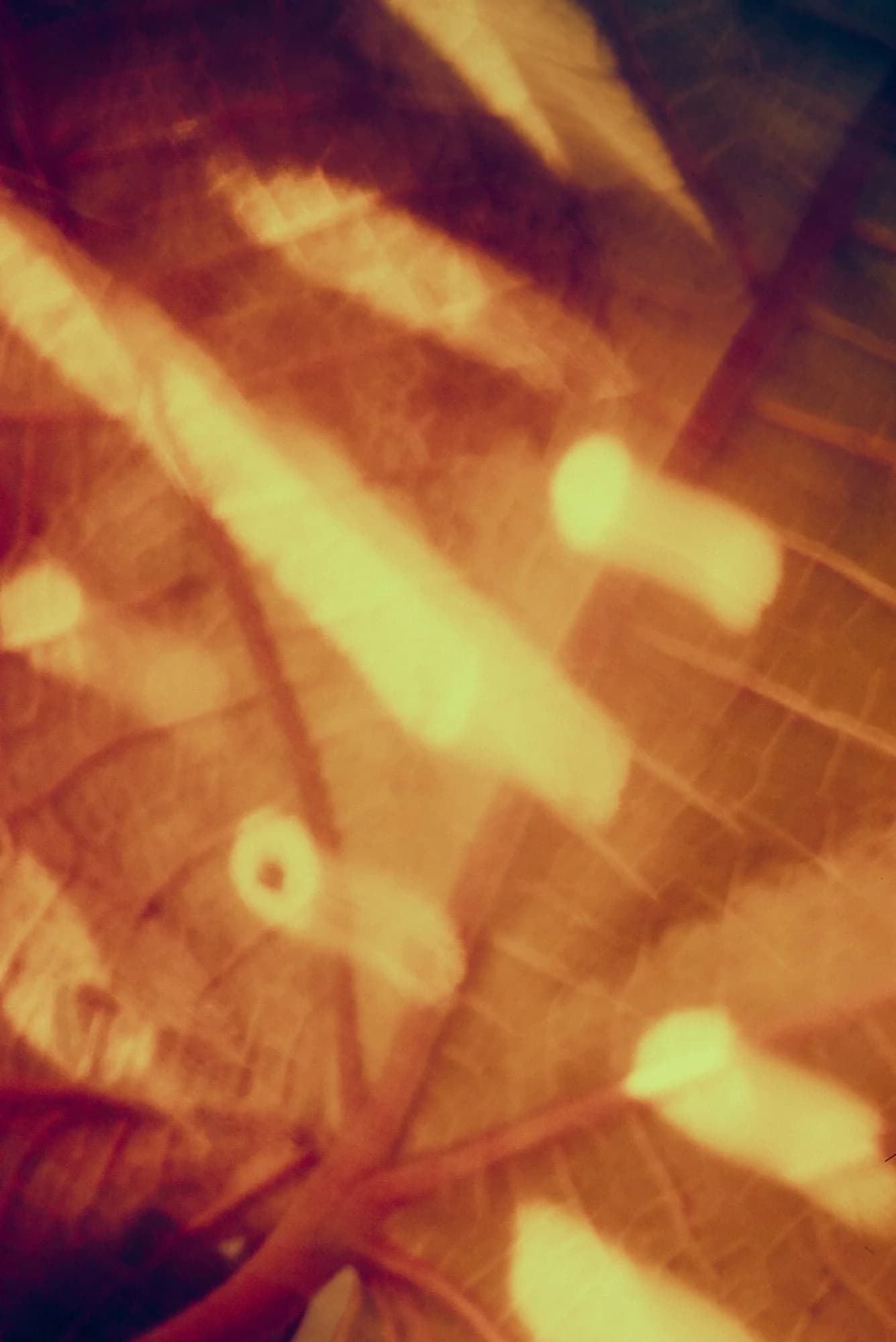 Skincare that Adapts to your Life